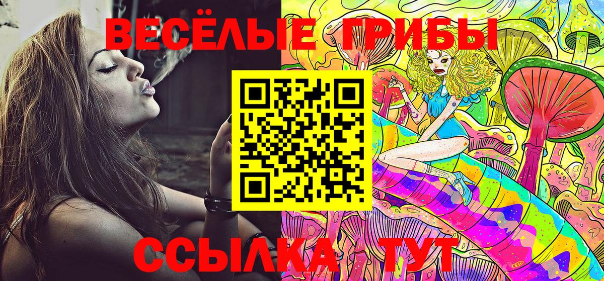 Галлюциногенные грибы Magic Shrooms Кувандык